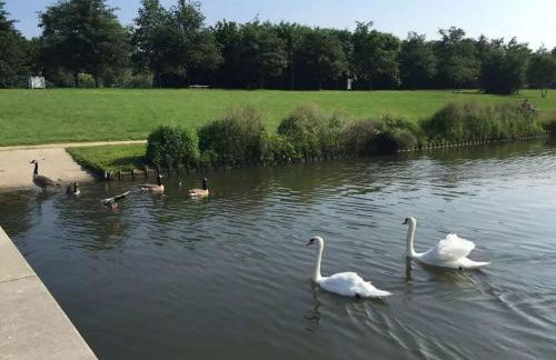 Jade Apart Bussy Centre Disney 10min - Foto 26