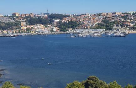 Apartamento vista Douro e Mar - Foto 49