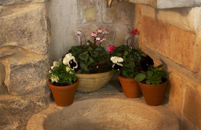 Ca n'Aleix - Photo 34