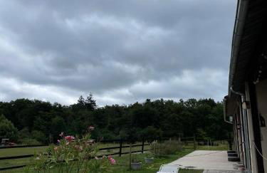 Gîte à la campagne Les Grandes Maisons Espace jacuzzi hammam SPA - Photo 27