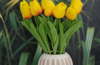 Tenuta Coppola - Foto 78