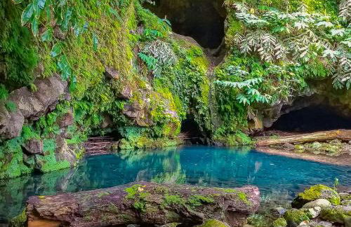 Alto do Sossego - Photo 49