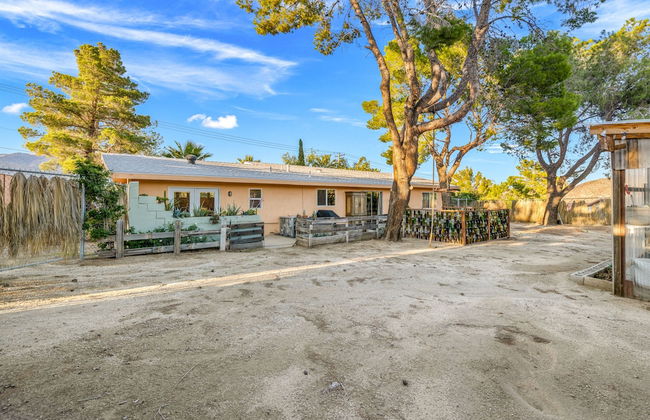 The Juniper - Foto 45