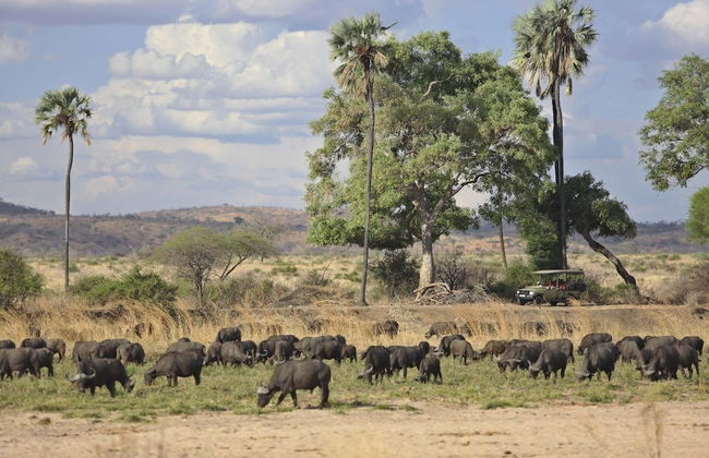 Ruaha Dream Villa - Foto 23