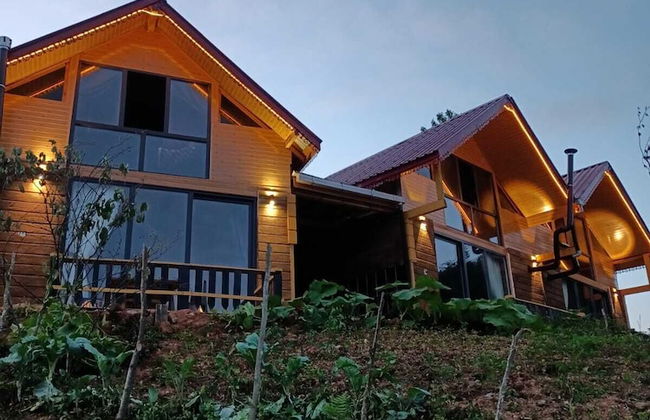 Kamelya Dag Evleri - Foto 7