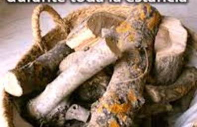 Cosy house in Estepa with mountain view - Photo 12