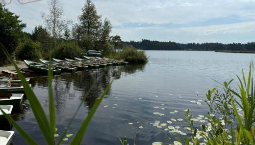 ma suite - idyllisch & modern apartment 2-4 P - Foto 4