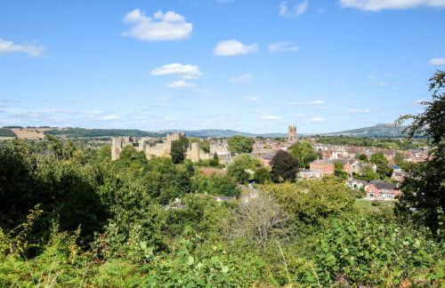 1 Bed in Kidderminster oc-82957 - Photo 20