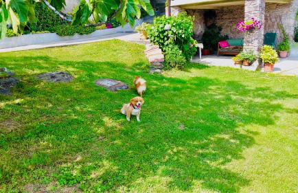 Casa Vacanze La CASA DEL SOLE - Foto 28