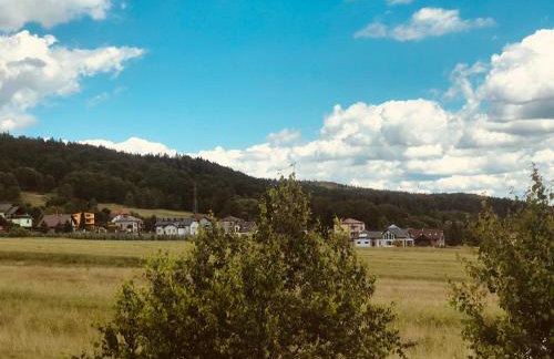 Domek na Kamieńcu - Foto 17