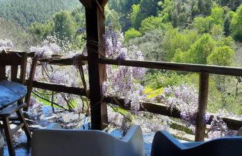 Casinha do México - Foto 23