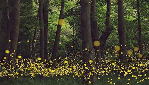 View of the sanctuary