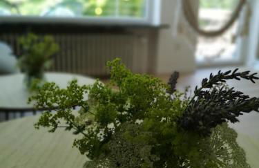 Haus zur lachenden Lieselotte I 5 Minuten zu Fuß zum kostenlosen Naturbad I Messenähe I Waldnähe - Foto 37