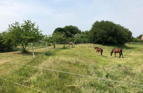 Ferienwohnungen Am Mühlenhügel - Photo 54