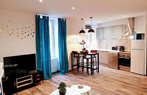 Le saphire St Affrique hyper centre ville - Photo 5