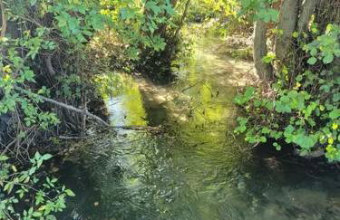 River side house - Foto 18