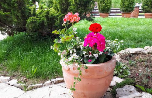 Apartment Villa Zizzy - Foto 28