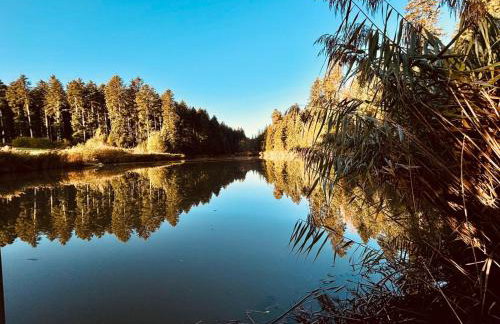 Schorsch's Ferienhaus - Foto 2