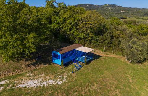 Poggio Diavolino - Suvereto - Foto 50