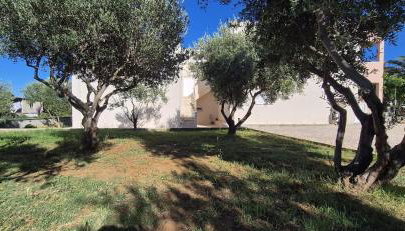 Apartman Petar - Foto 4