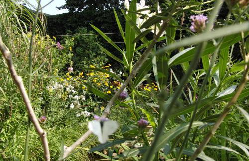 Gästehaus EinsA - Photo 28