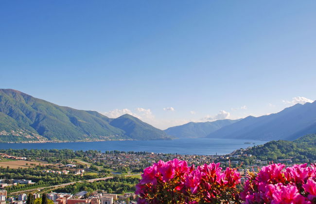 Vista Panorama - Foto 25