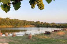 Agriturismo La Posta Reale - Foto 11