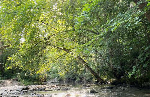 TauberChalet I Boutique-Ferienhaus mit Private Spa, Sauna & Whirlpool I Naturidyll und doch nur 10 Min zur Altstadt - Foto 18