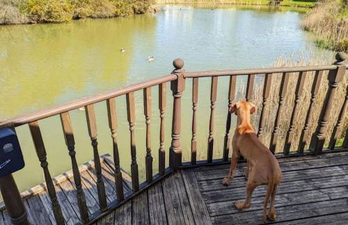 Lakeside View - Foto 35