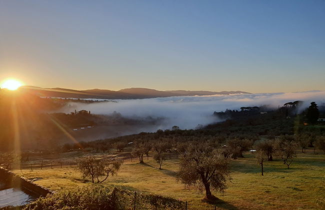 Fattoria di Maiano - Foto 80