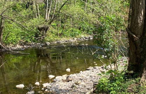 Ferienhaus Alfbach - Foto 22