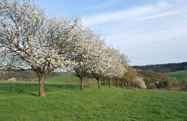 Chic Apartment in Thuringia With Sauna - Foto 70