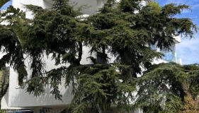 Attico Maristella - Foto 2