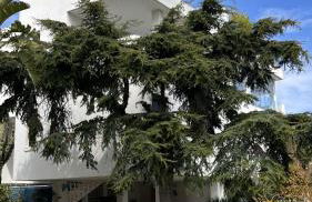 Attico Maristella - Foto 2