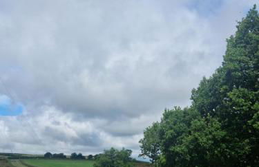 Ty Branwen- Luxury Woodland Lodge with Stunning Views - Photo 25