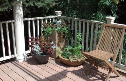 Melrose 5-bedroom house - Photo 6