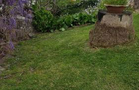 Casa da Palmeira - Foto 40