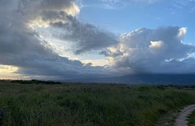 Hummingbird Haven by Avantstay Dog-friendly Near the Beach Huge Yard Hot Tub - Foto 65