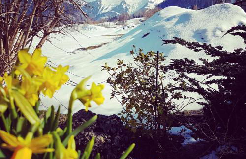 Ferienwohnung Hochgratblick - Foto 1