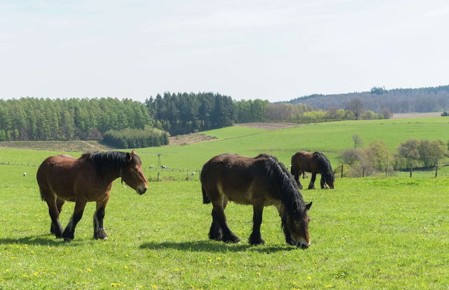 Quaint Holiday Home in Bievre in the Forest - Foto 49