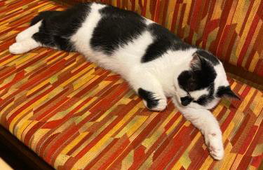 Gasthof zur Sägemühle - Foto 18