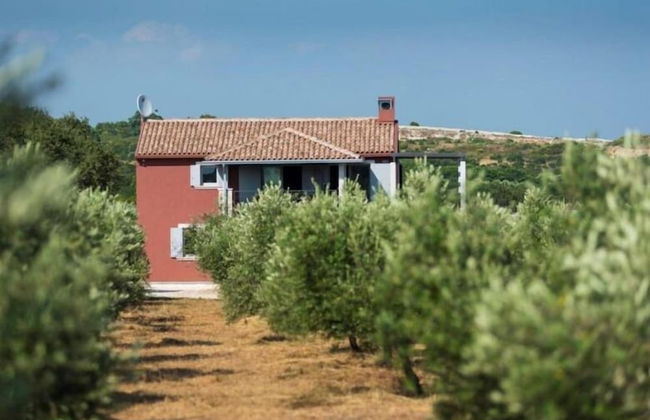 Villa Pomer - Foto 10