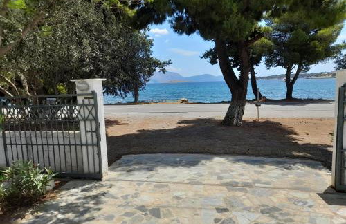 Elea Guesthouse - Photo 2