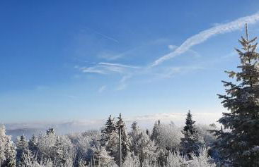 Marthas Stübchen - Foto 30