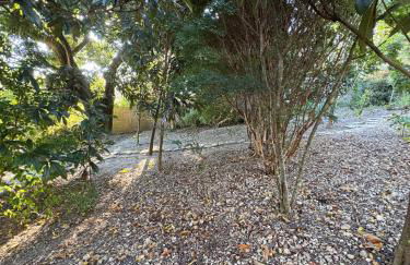 Casa de roça - Foto 12