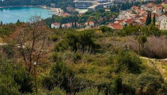 Bay Hill Apartment - Foto 5