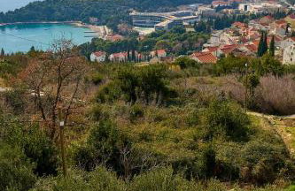 Bay Hill Apartment - Foto 5