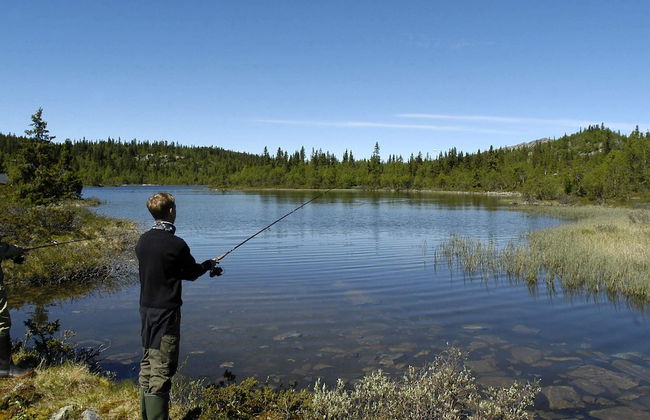 Holiday Home in FÃ¥vang - Foto 15