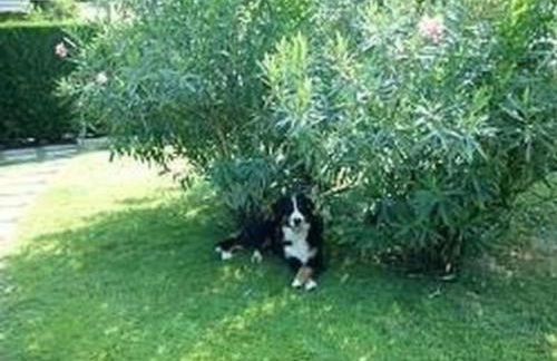 Apartment FeWo C-36 by Interhome - Foto 40