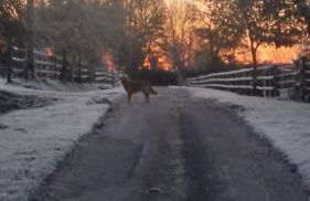 gite de la Chevrie - Photo 14